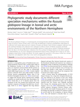Phylogenetic Study Documents Different Speciation Mechanisms Within the Russula Globispora Lineage in Boreal and Arctic Environm