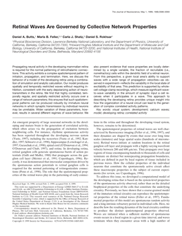 Retinal Waves Are Governed by Collective Network Properties