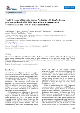 The First Record of the White-Spotted Australian Jellyfish Phyllorhiza