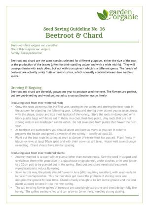 Seed Saving Guideline No. 16 Beetroot & Chard