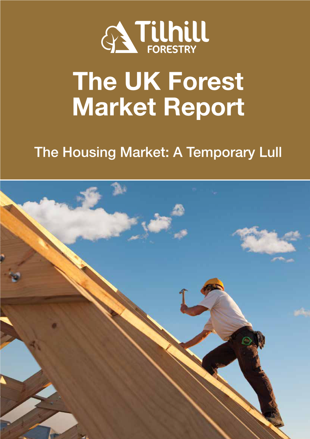 The Housing Market: a Temporary Lull the UK FOREST MARKET REPORT 2019