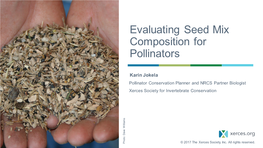 Evaluating Seed Mix Composition for Pollinators