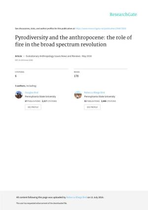 Pyrodiversity and the Anthropocene: the Role of Fire in the Broad Spectrum Revolution
