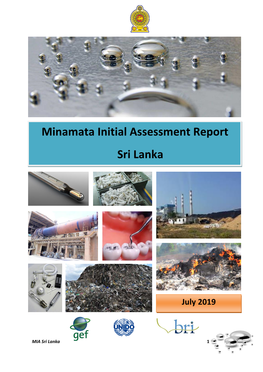 Minamata Initial Assessment Report Sri Lanka