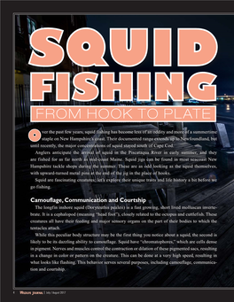 Squid Fishing: from Hook to Plate