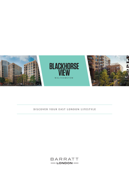 Blackhorse View Brochure