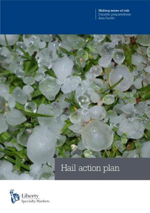Hail Action Plan Hail Action Plan