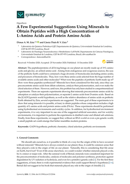 A Few Experimental Suggestions Using Minerals to Obtain Peptides with a High Concentration of L-Amino Acids and Protein Amino Acids