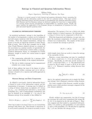 Entropy in Classical and Quantum Information Theory