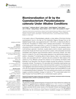 Biomineralization of Sr by the Cyanobacterium Pseudanabaena Catenata Under Alkaline Conditions