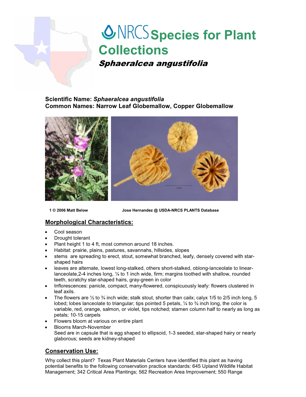 Species Description for Plant Collection