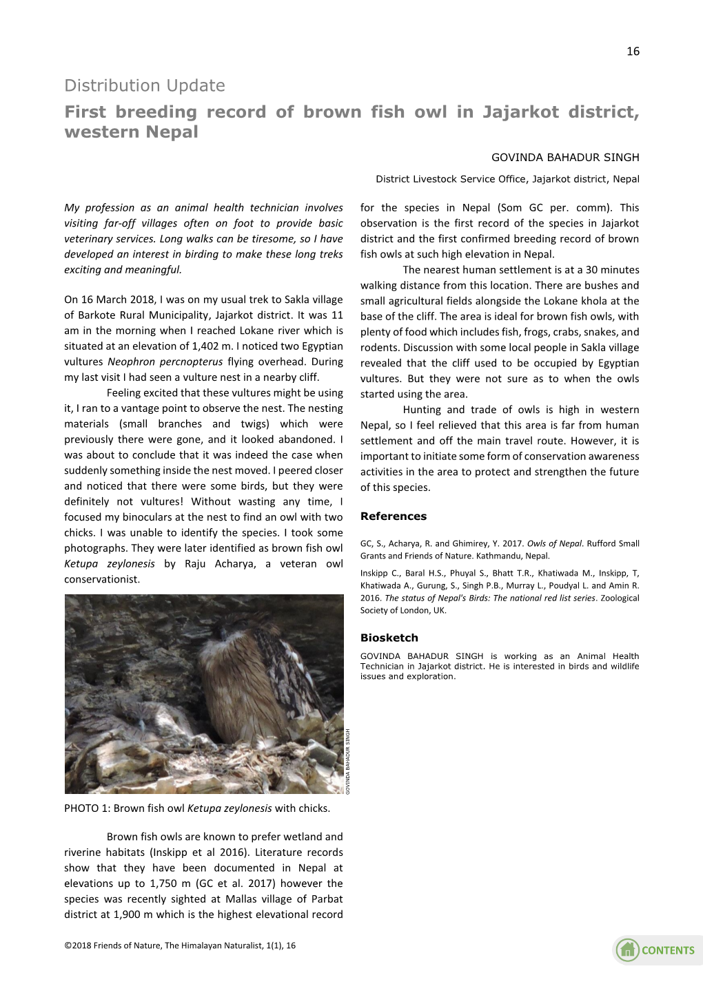 First Breeding Record of Brown Fish Owl in Jajarkot District, Western Nepal