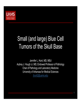 Small (And Large) Blue Cell Tumors of the Skull Base