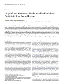 Drug-Induced Alterations of Endocannabinoid-Mediated Plasticity in Brain Reward Regions