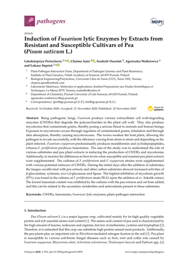 Induction of Fusarium Lytic Enzymes by Extracts from Resistant and Susceptible Cultivars of Pea (Pisum Sativum L.)