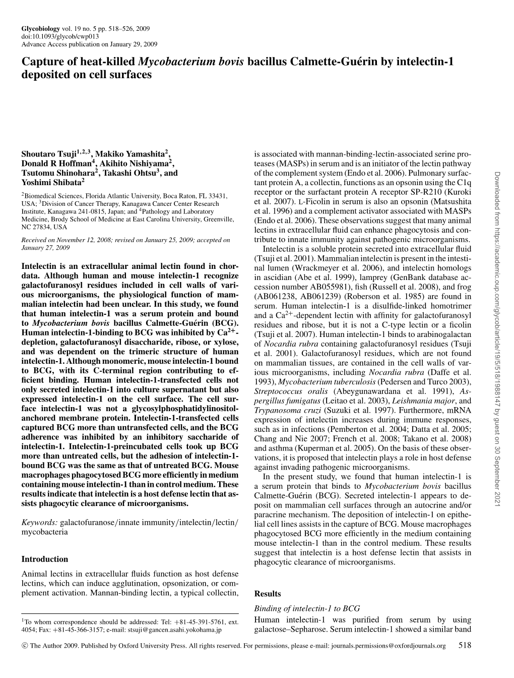 Capture of Heat-Killed Mycobacterium Bovis Bacillus Calmette-Guérin By