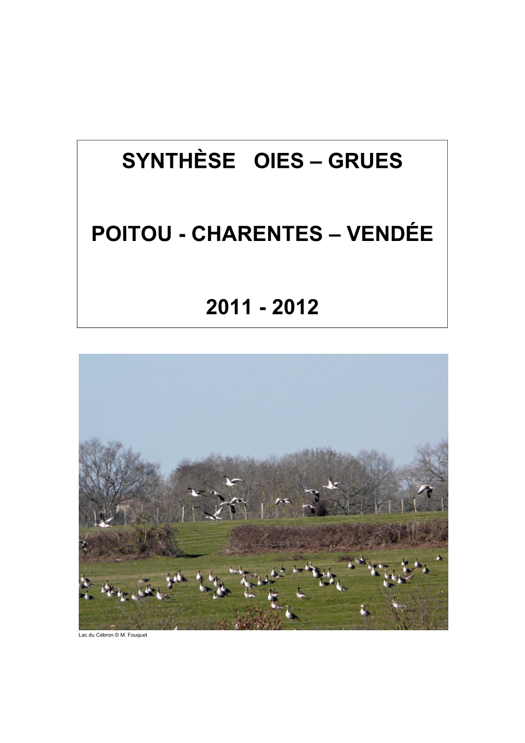 Synthèse Oies – Grues Poitou