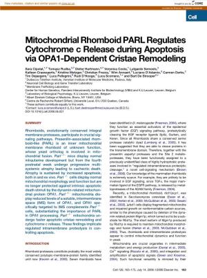 Mitochondrial Rhomboid PARL Regulates Cytochrome C Release During Apoptosis Via OPA1-Dependent Cristae Remodeling