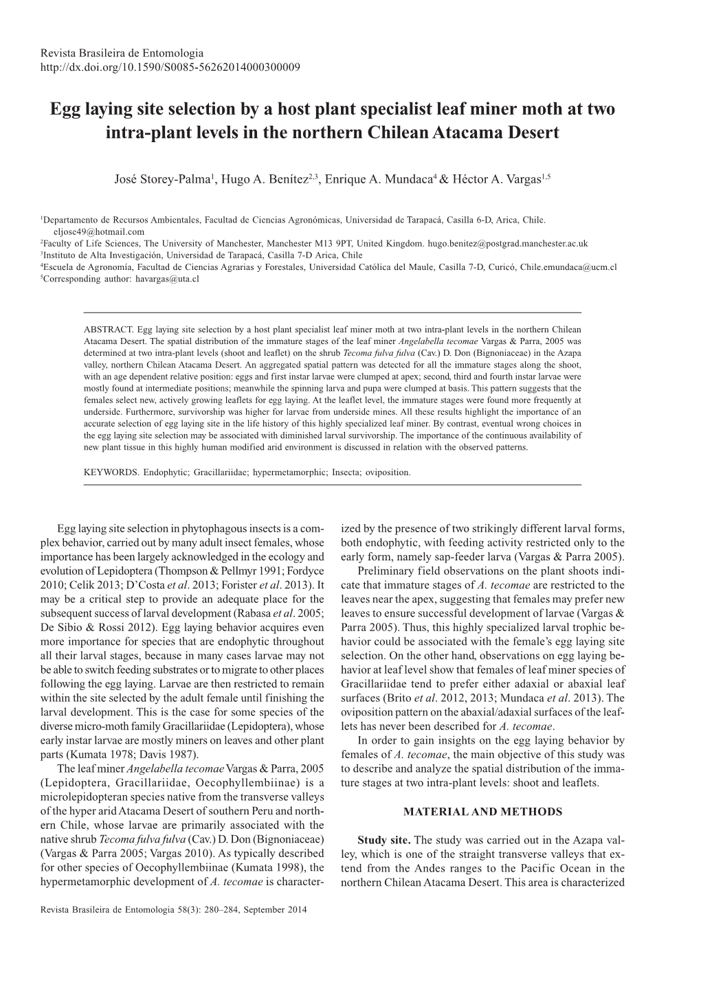 Egg Laying Site Selection by a Host Plant Specialist Leaf Miner Moth at Two Intra-Plant Levels in the Northern Chilean Atacama Desert