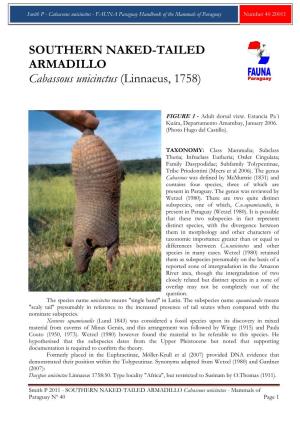 SOUTHERN NAKED-TAILED ARMADILLO Cabassous Unicinctus (Linnaeus, 1758)