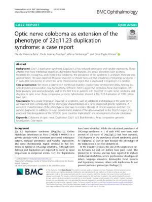 Optic Nerve Coloboma As Extension of The
