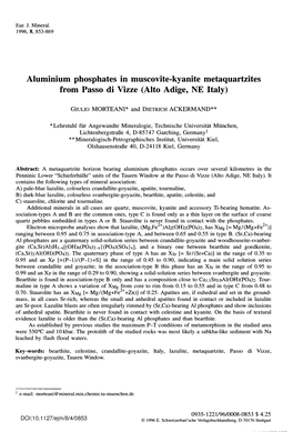 Aluminium Phosphates in Muscovite-Kyanite Metaquartzites from Passo Di Vizze (Alto Adige, NE Italy)