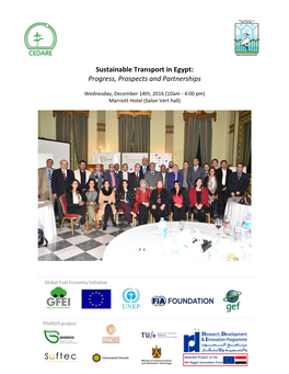 Sustainable Transport in Egypt: Progress, Prospects and Partnerships