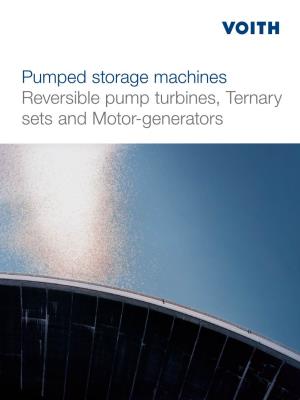 Reversible Pump Turbines, Ternary Sets and Motor-Generators 1