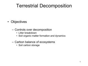 Terrestrial Decomposition