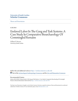 Enslaved Labor in the Gang and Task Systems: a Case Study in Comparative Bioarchaeology of Commingled Remains