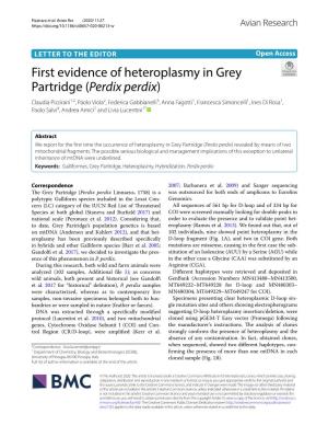 First Evidence of Heteroplasmy in Grey Partridge (Perdix