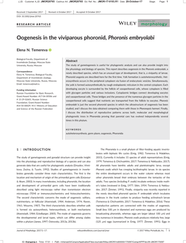 Oogenesis in the Viviparous Phoronid, Phoronis Embryolabi