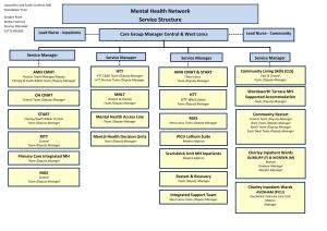 Mental Health Network Service Structure