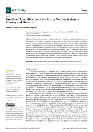 Functional Lateralization of the Mirror Neuron System in Monkey and Humans