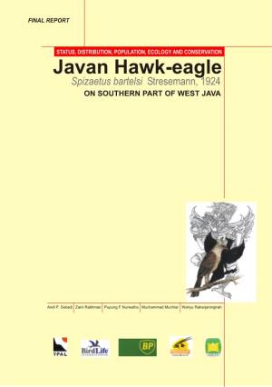 Javan Hawk-Eagle Spizaetus Bartelsi Stresemann, 1924 on SOUTHERN PART of WEST JAVA