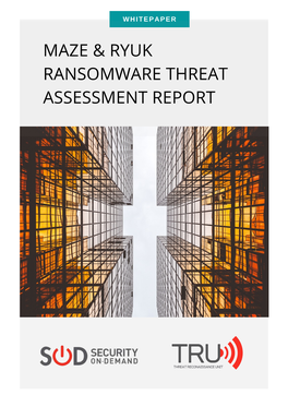 Maze & Ryuk Ransomware Threat Assessment Report