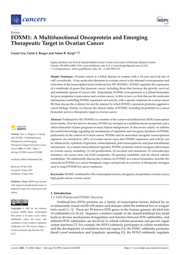 FOXM1: a Multifunctional Oncoprotein and Emerging Therapeutic Target in Ovarian Cancer