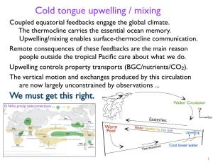 Cold Tongue Upwelling / Mixing Coupled Equatorial Feedbacks Engage the Global Climate
