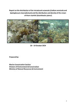 Report on the Distribution of the Introduced Seaweeds