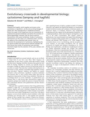 Evolutionary Crossroads in Developmental Biology: Cyclostomes (Lamprey and Hagfish) Sebastian M