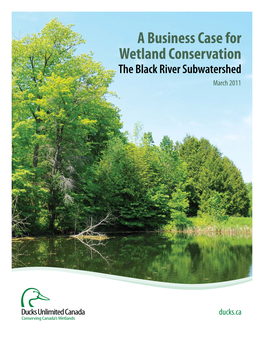 A Business Case for Wetland Conservation the Black River Subwatershed March 2011