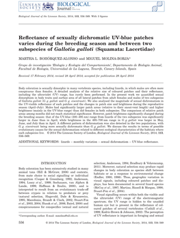 Reflectance of Sexually Dichromatic Uvblue Patches Varies During The
