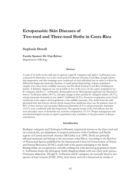 Ectoparasitic Skin Diseases of Two-Toed and Three-Toed Sloths in Costa Rica