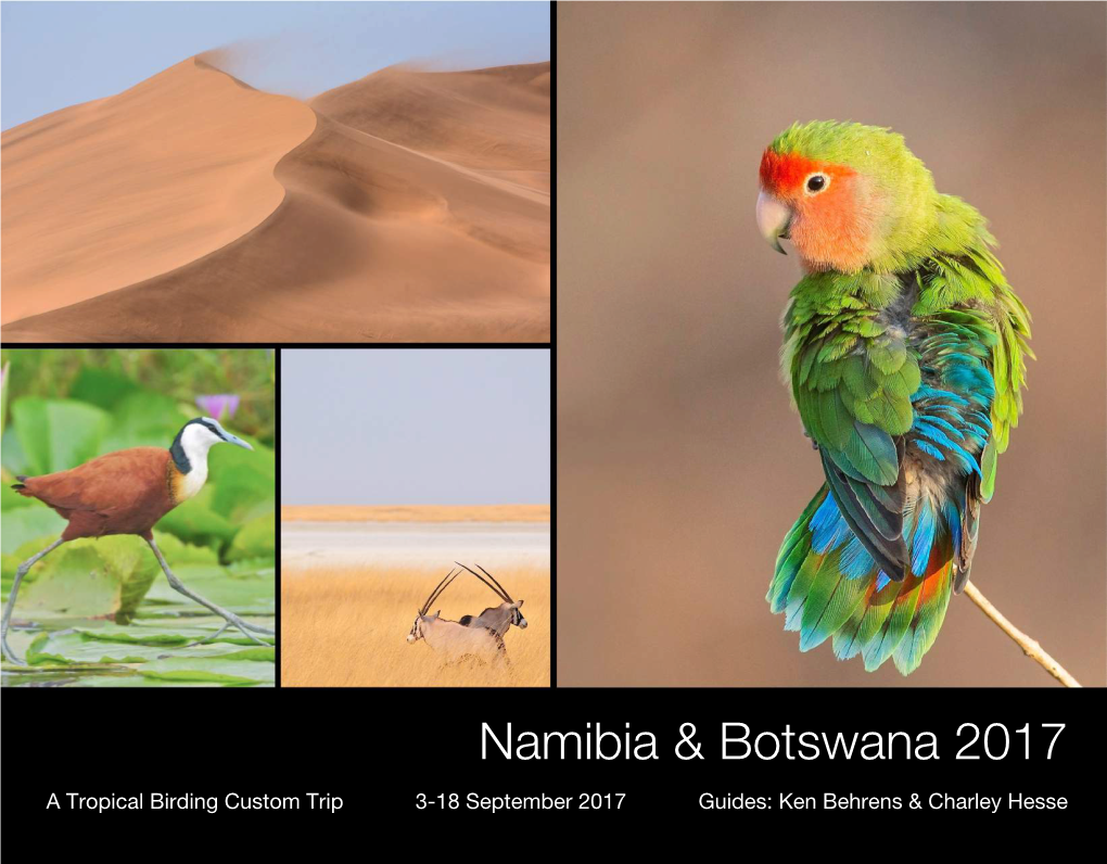 Namibia & Botswana 2017