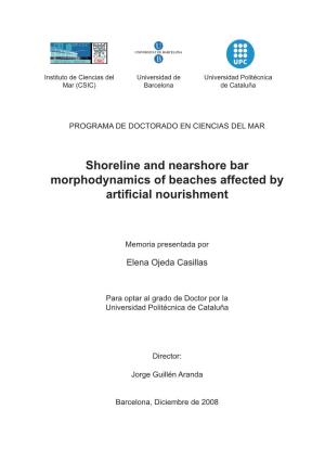 Shoreline and Nearshore Bar Morphodynamics of Beaches Affected by Artificial Nourishment