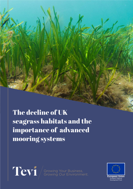 The Decline of UK Seagrass Habitats and the Importance of Advanced Mooring Systems