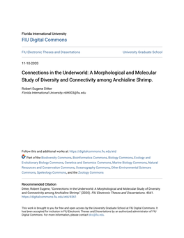 A Morphological and Molecular Study of Diversity and Connectivity Among Anchialine Shrimp