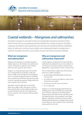 Coastal Wetlands—Mangroves and Saltmarshes