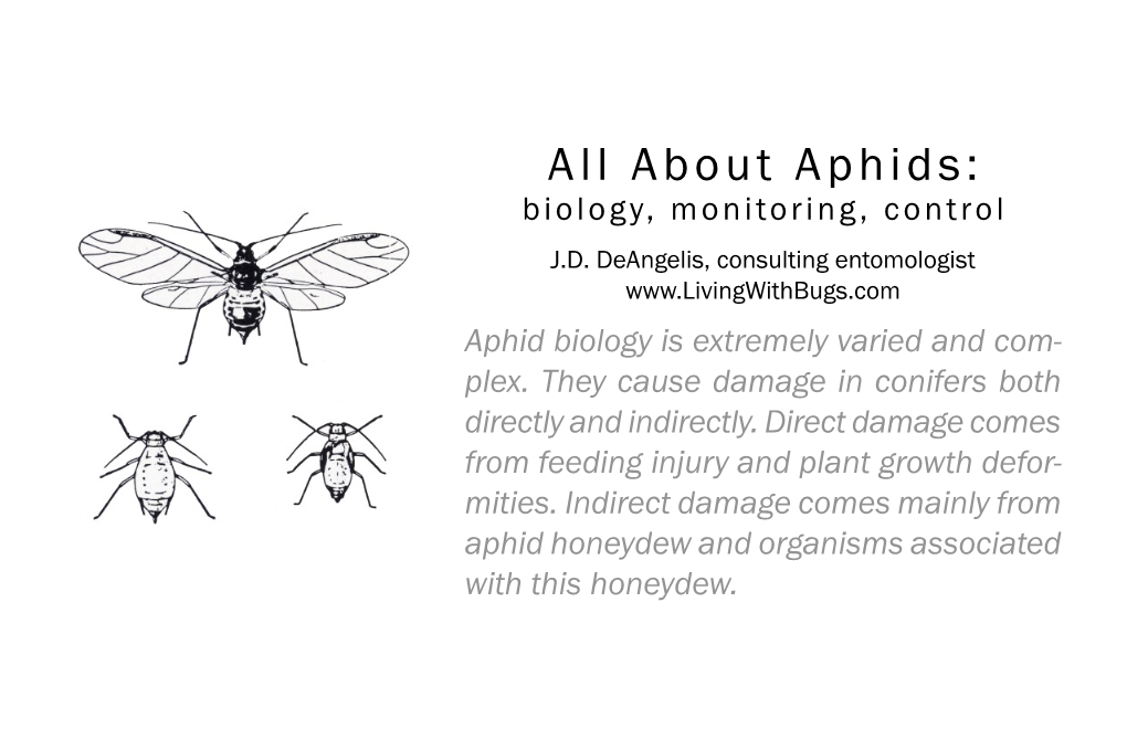 Aphid Biology, Monitoring and Control