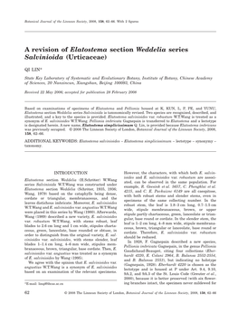 A Revision of Elatostema Section Weddelia Series Salvinioida (Urticaceae)